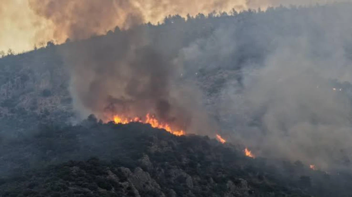 Manisa'da &ccedil;ıkan orman yangınına m&uuml;dahale ediliyor
