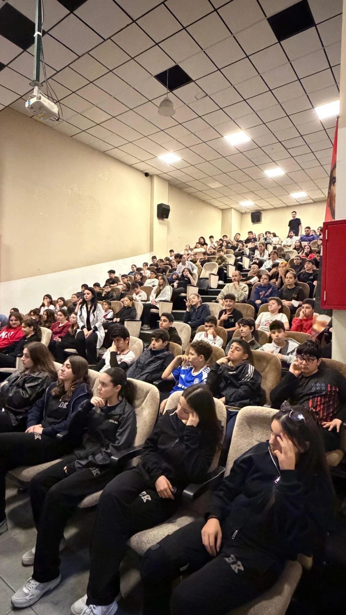 T&uuml;rk&ccedil;e, Bozkırda D&ouml;rtnala Koşan Bir Atın Ahengini Taşır"